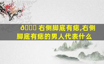 🐈 右侧脚底有痣,右侧脚底有痣的男人代表什么